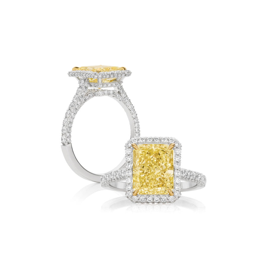 Hello Yellow ™ Radiant Diamond with Fine Halo Ring | White Gold
