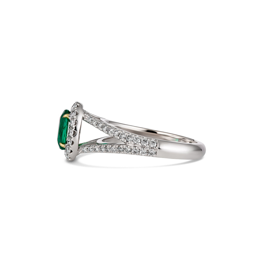 Regal Collection® Emerald Pear Cut Diamond Ring with Diamond Halo | White Gold